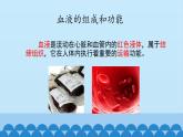 济南版七年级下册生物 3.1物质运输的载体 课件