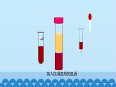 济南版七年级下册生物 3.1物质运输的载体 课件