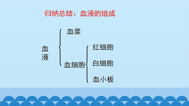 济南版七年级下册生物 3.1物质运输的载体 课件第7页