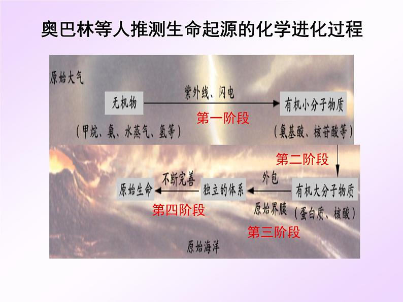 济南社八年级下册生物 5.1.1生命的起源 课件第4页