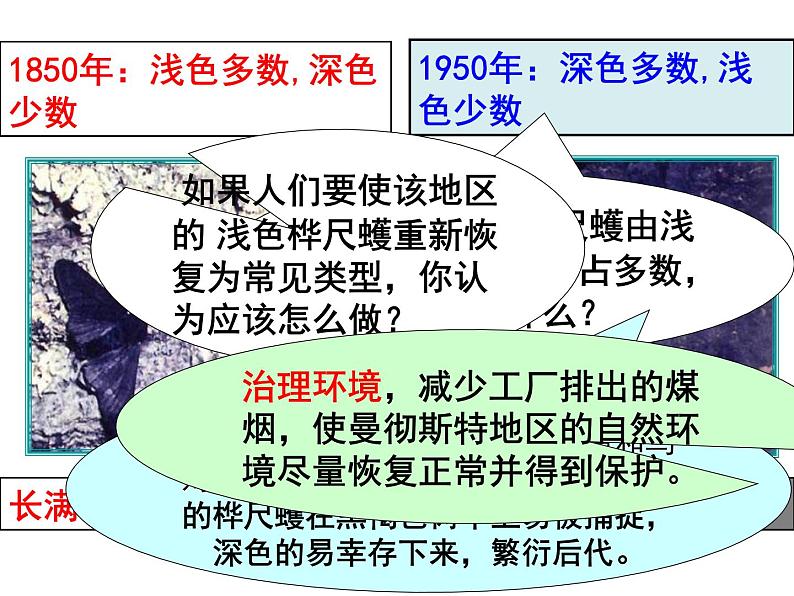 济南社八年级下册生物 5.1.4生物进化的原因 课件第5页