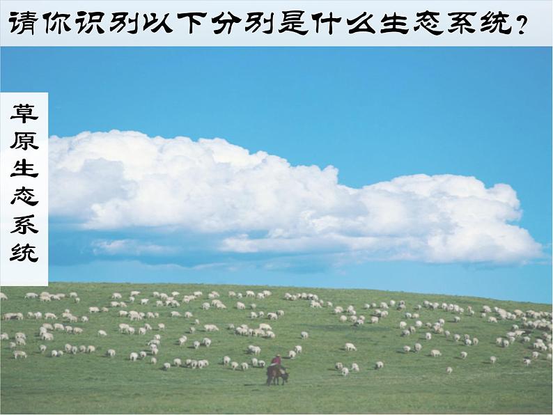 济南社八年级下册生物 6.2.1生态系统的组成 课件第3页