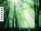 济南社八年级下册生物 6.2.1生态系统的组成 课件