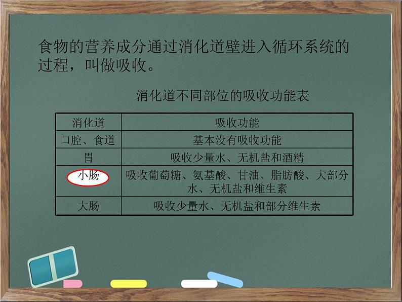 冀教版七年级下册生物 1.3营养物质的吸收和利用 课件第4页