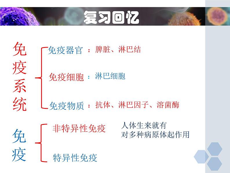 冀教版七年级下册生物 6.1 免疫 课件第2页