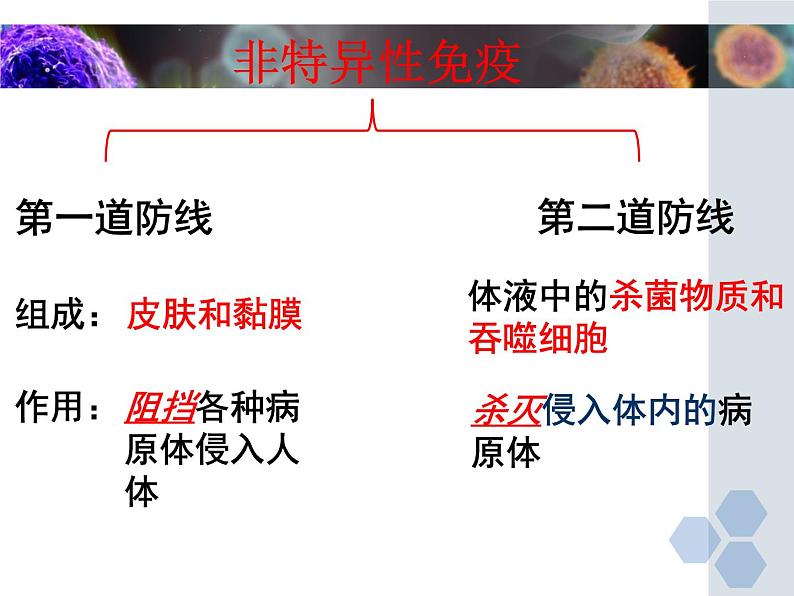 冀教版七年级下册生物 6.1 免疫 课件第3页