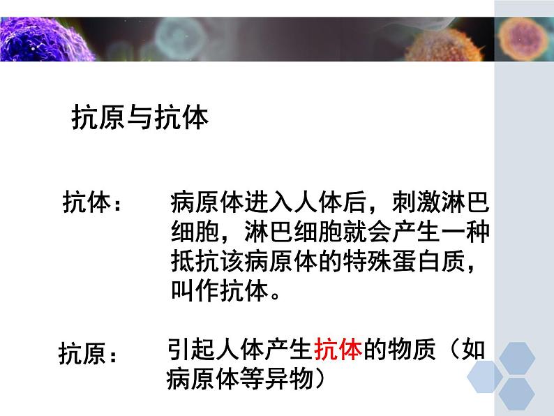 冀教版七年级下册生物 6.1 免疫 课件第8页