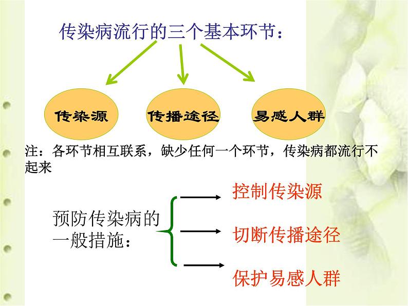 冀教版七年级下册生物 6.2 疾病与预防 课件06