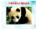 冀教版八年級(jí)下冊(cè)生物  7.1.1環(huán)境對(duì)生物的影響 課件