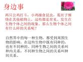 冀教版八年級(jí)下冊(cè)生物  7.1.1環(huán)境對(duì)生物的影響 課件