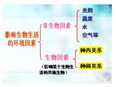 冀教版八年級(jí)下冊(cè)生物  7.1.1環(huán)境對(duì)生物的影響 課件