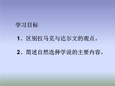 冀教版八年级下册生物  6.3.2生物的进化 课件