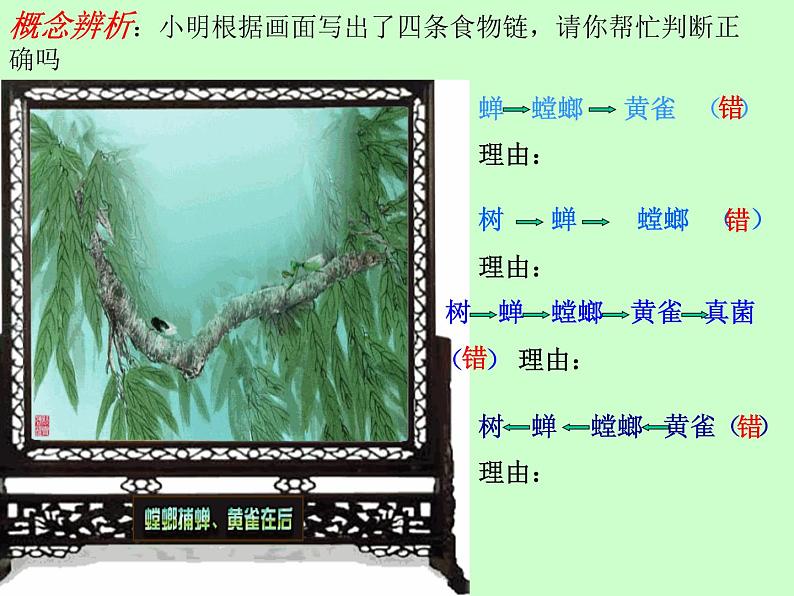 冀教版八年级下册生物  7.2.2食物链和食物网 课件第5页