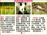 冀教版八年级下册生物  7.3.3保护生物多样性 课件