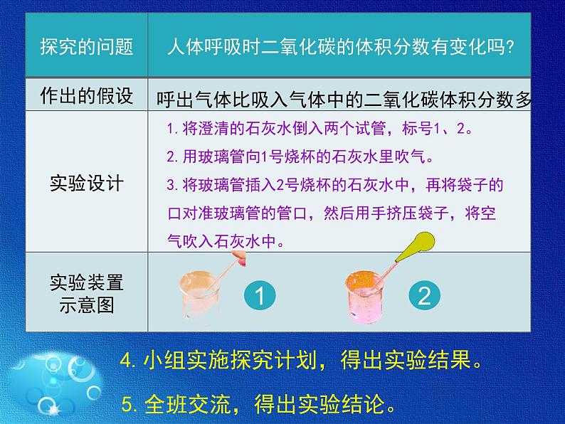 苏教版七年级下册生物 10.4人体内的气体交换 课件07