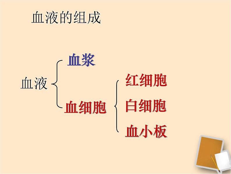 苏教版七年级下册生物 10.1血液和血型 课件07