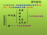 苏教版七年级下册生物 10.3人体和外界环境的气体交换 课件