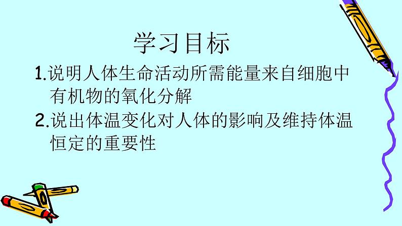 苏教版七年级下册生物 10.5人体能量的供给 课件第5页