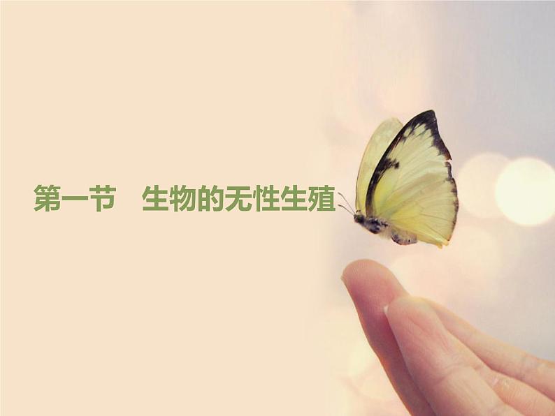 苏教版八年级下册生物 21.1生物的无性生殖 课件第1页