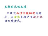 蘇教版八年級下冊生物 21.1生物的無性生殖  課件