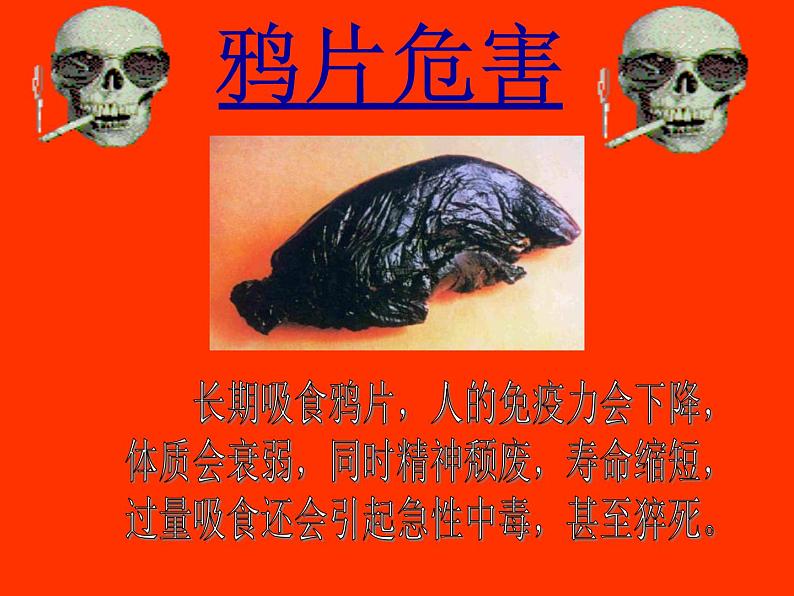 苏教版八年级下册生物 26.2拒绝毒品 课件第6页