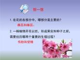 蘇教版八年級下冊生物 21.2植物的有性生殖  課件
