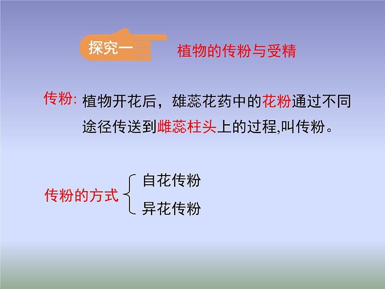 苏教版八年级下册生物 21.2植物的有性生殖  课件07