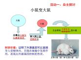苏教版八年级下册生物 24.1现代生物技术的应用 课件