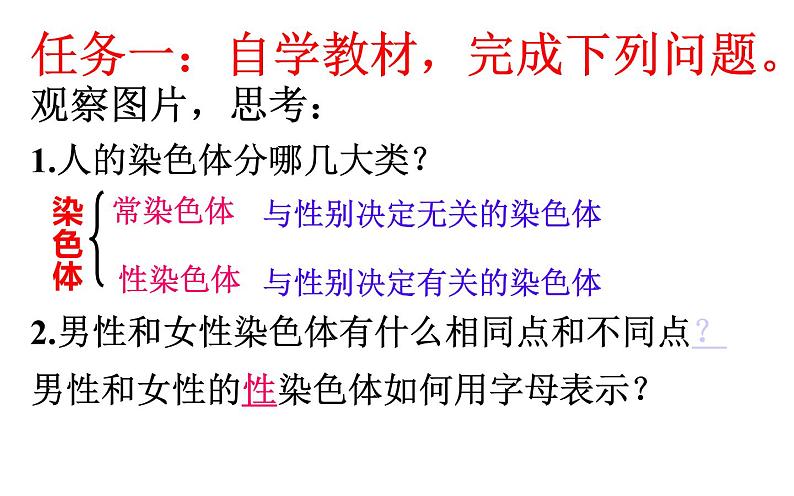 苏教版八年级下册生物 22.3人的性别决定 课件07