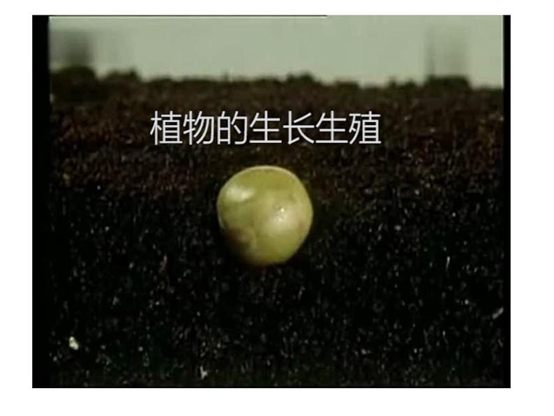 苏教版八年级下册生物 21.2植物的有性生殖 课件01