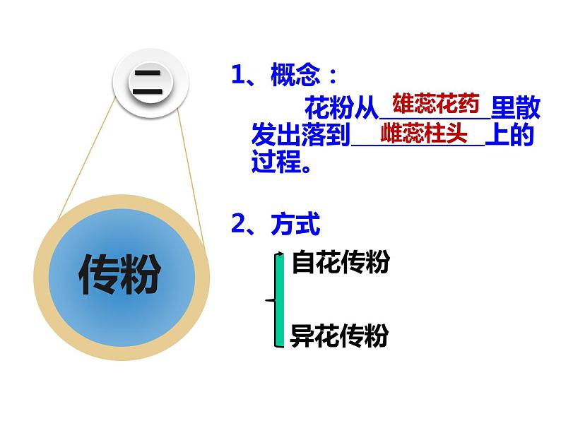 苏教版八年级下册生物 21.2植物的有性生殖 课件06