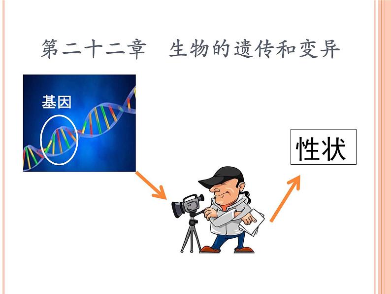 苏教版八年级下册生物 22.2人的性状和遗传 课件08