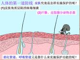 苏教版八年级下册生物 25.3免疫 课件