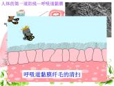 苏教版八年级下册生物 25.3免疫 课件