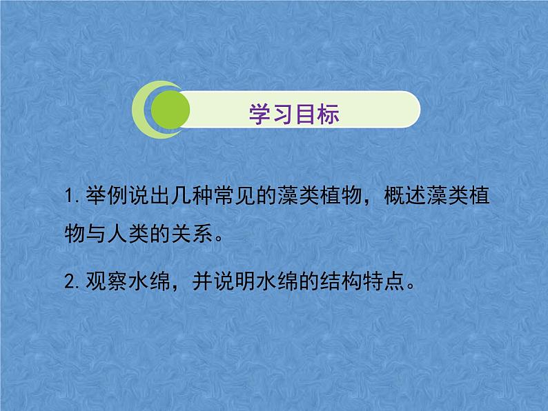 苏科版七年级下册生物 10.2水中的藻类植物 课件第3页