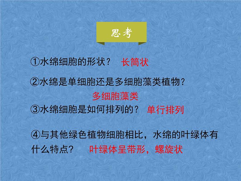 苏科版七年级下册生物 10.2水中的藻类植物 课件第7页