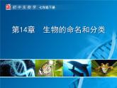 苏科版七年级下册生物 14.1生物的命名和分类 课件