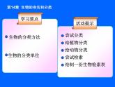 苏科版七年级下册生物 14.1生物的命名和分类 课件