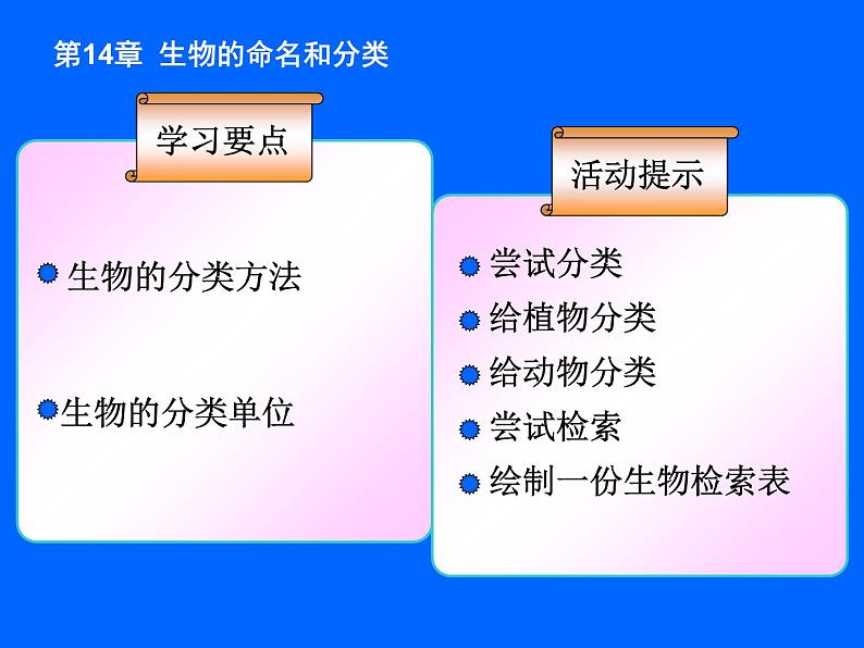 苏科版七年级下册生物 14.1生物的命名和分类 课件第4页