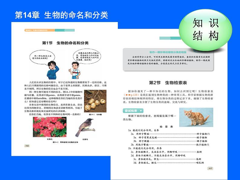 苏科版七年级下册生物 14.1生物的命名和分类 课件第5页