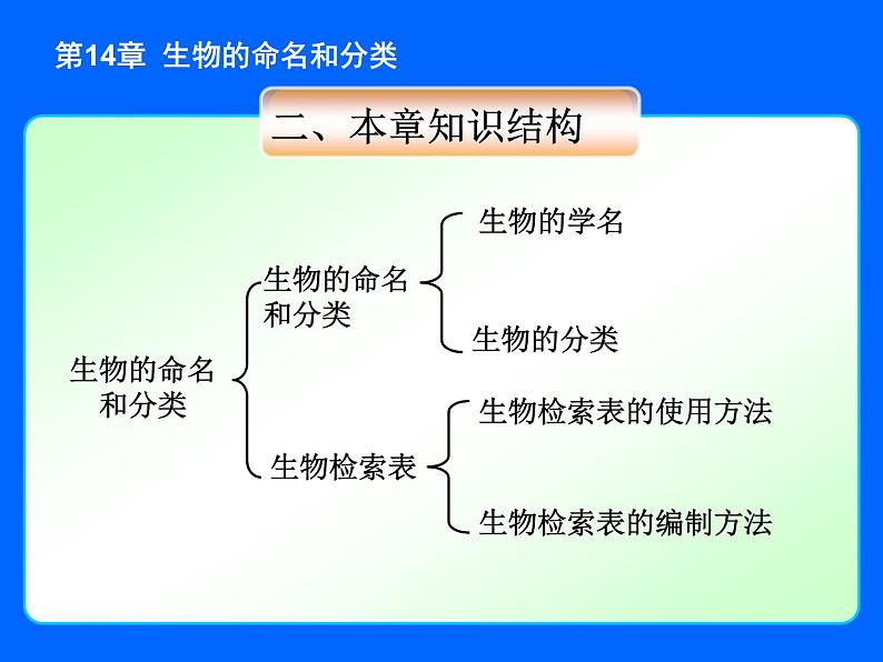 苏科版七年级下册生物 14.1生物的命名和分类 课件第6页