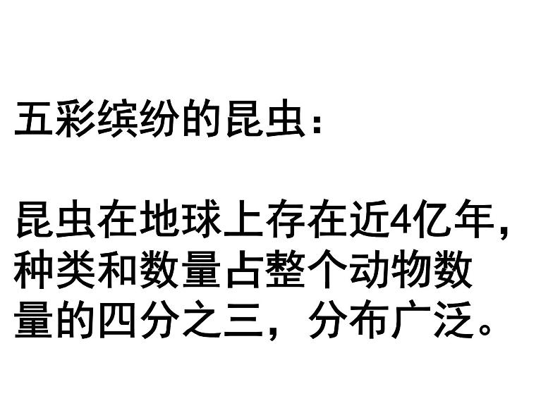 苏科版七年级下册生物 12.2昆虫 课件第2页