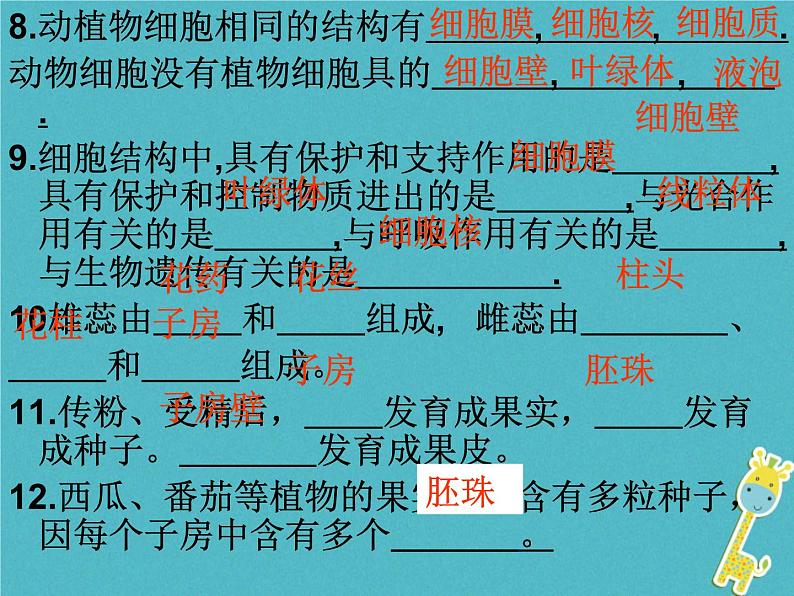 苏科版七年级下册生物 11.2地面上的动物 课件第3页