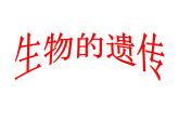 苏科版八年级下册生物 22.1生物的遗传 课件