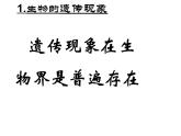苏科版八年级下册生物 22.1生物的遗传 课件