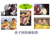 苏科版八年级下册生物 22.1生物的遗传 课件