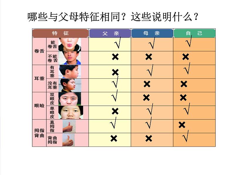 苏科版八年级下册生物 22.1生物的遗传 课件第7页