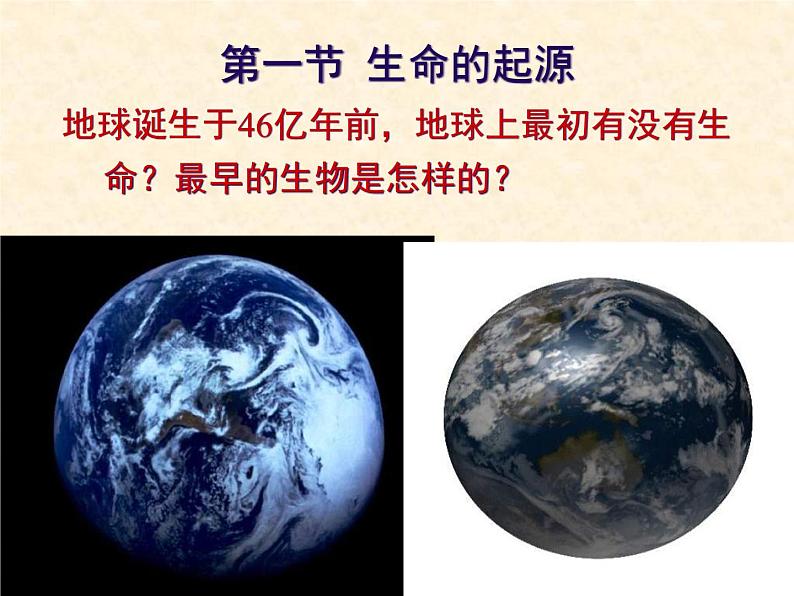 苏科版八年级下册生物 23.1生命的起源 课件02