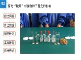 苏科版八年级下册生物 26.1人口增长对生态环境的影响 课件