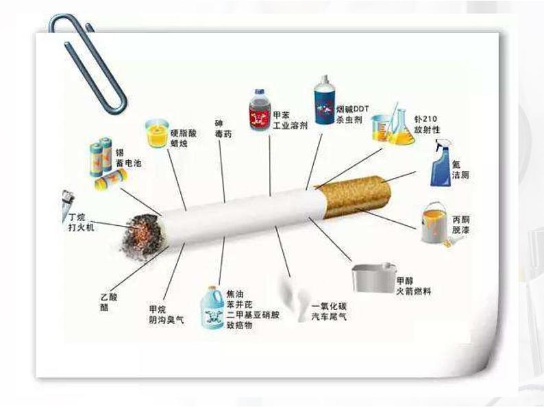 苏科版八年级下册生物 25.3远离烟酒 拒绝毒品 课件07